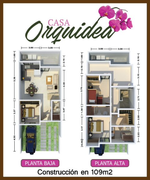 orquideadistribution.png